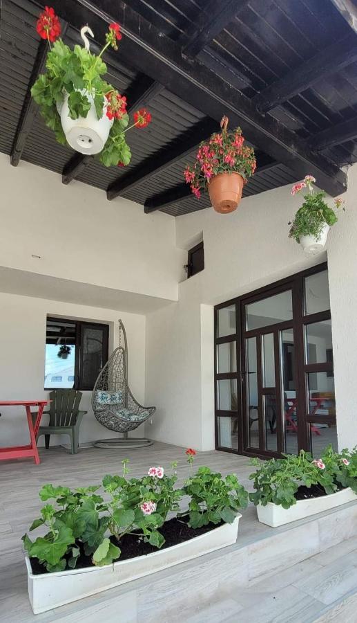Hotel Casa Domneasca Giurgiu Exterior foto
